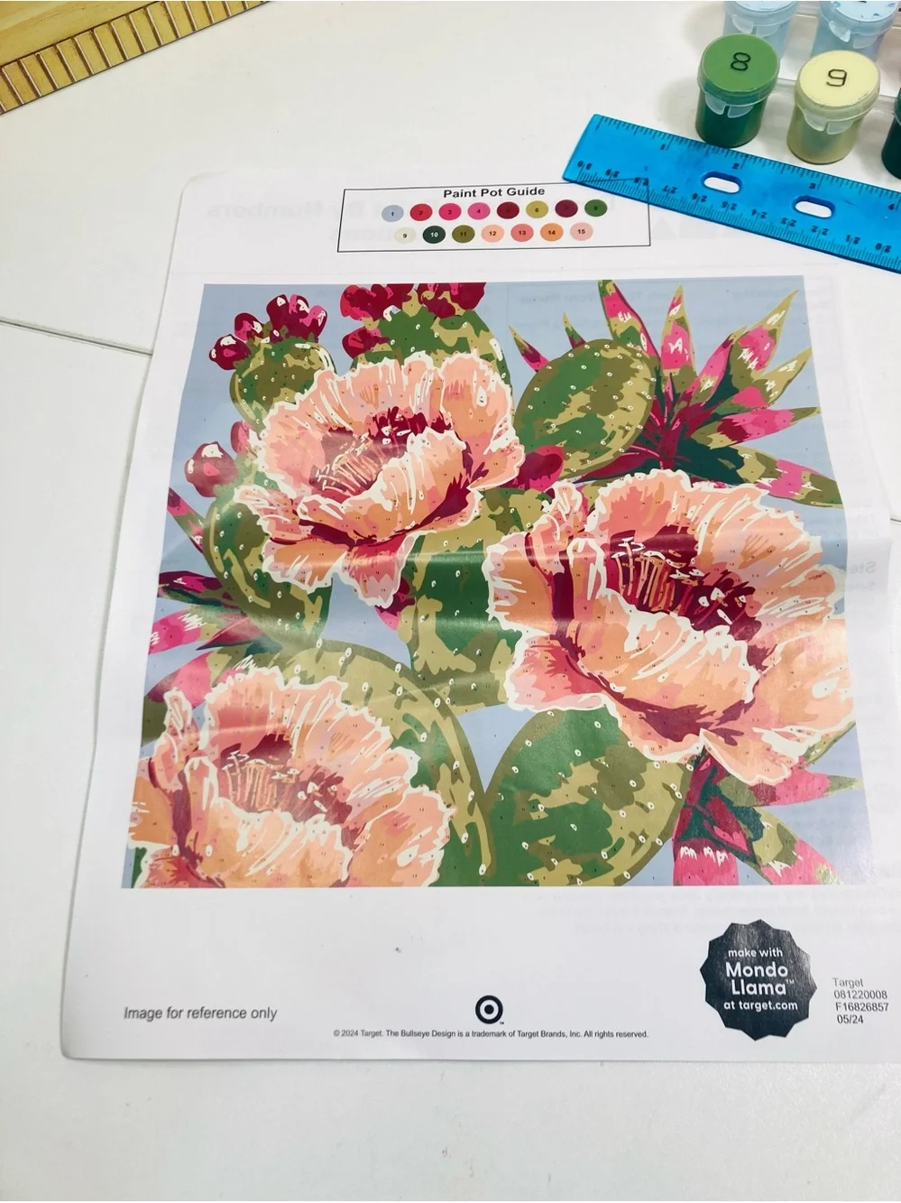 Barely Started: Mondo Llama Paint-by-Number Framed Canvas Kit